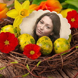 Effect Easter Nest
