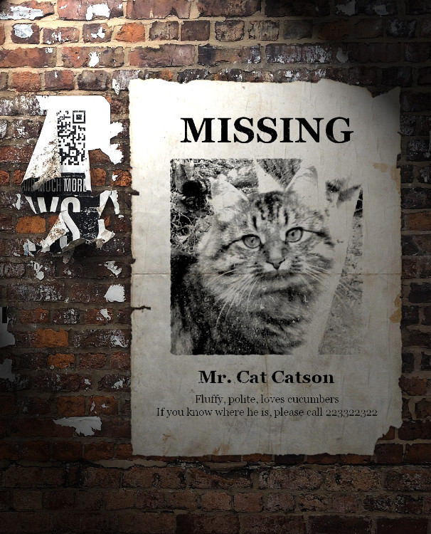 41-hq-images-missing-cat-poster-funny-teacher-claims-us-10-000-reward