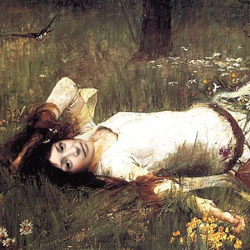 Effect Ophelia