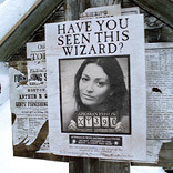 Efekt Wanted Wizard
